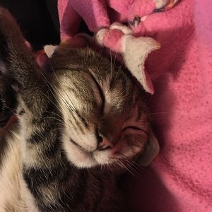 Meet your Posher, Jennifer